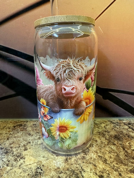 Highland Cow