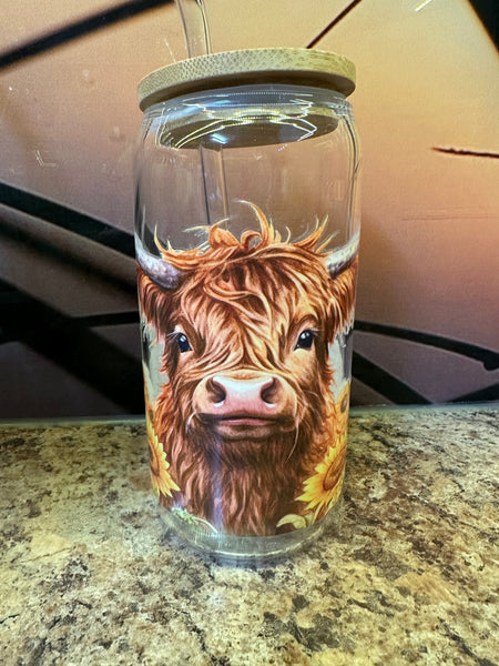 Highland Cow